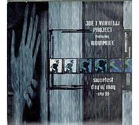 JOE T VANNELLI - JOE T VANNELLI / SWEETEST DAY OF MAY 1999