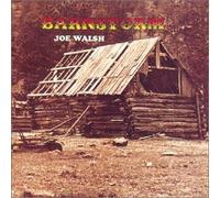 Joe Walsh - Barnstorm