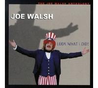 JOE WALSH - Look What I Did