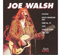 JOE WALSH - NIGHT RIDING