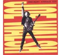 Joe Walsh - Ordinary Average Guy