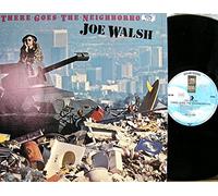 Joe Walsh - There goes the neighborhood (1981) / Vinyl record [Vinyl-LP] [Vinilo]