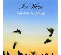 Joe Whyte - Devil in the Details
