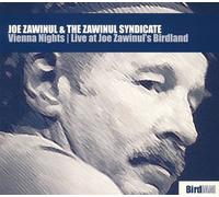 Joe Zawinul - Vienna Nights