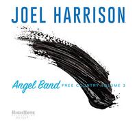 Joel Harrison - Angel Band