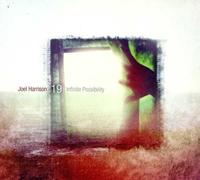 Joel Harrison - Infinite Possibility