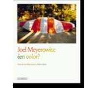 Joel Meyerowitz: ¿en Color?