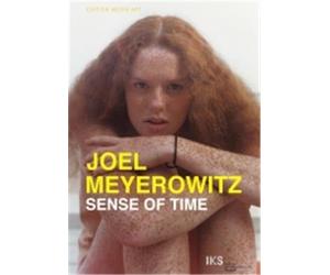Joel Meyerowitz Sense of time A film by Ralph Goertz (DVD) /anglais