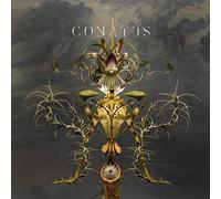 Joep Beving - Conatus
