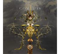 Joep Beving Conatus (CD) Album (Importación USA)