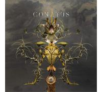 Joep Beving Conatus (CD) Album (Importación USA)