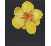 Jörg Immendorff: For All Beloved In The World