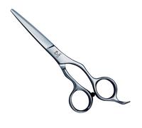 Joewell Tijeras para el pelo AR-610