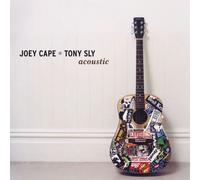 Joey Cape and Tony Sly Acoustic (Vinyl) 12" Album (Importación USA)