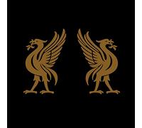 Joey Cape & Jon Snodgrass - Liverbirds