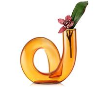 Joeyan 12CM Florero Pequeño de Vidrio, ámbar Jarrones de Cristal para Centros de Mesa Modernos para na Sola Flor y Flores Secas Decorativo Geométrico el Hogar,Sala de Estar,Oficina,Jarrón Abstracto