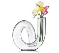 Joeyan 12CM Florero Pequeño de Vidrio,Transparente Jarrones de Cristal para Centros de Mesa Modernos na Sola Flor y Flores Secas Decorativo Geométrico el Hogar,Sala de Estar,Oficina,Jarrón Abstracto