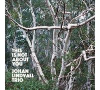 Johan Lindvall Trio - This Is Not About You
