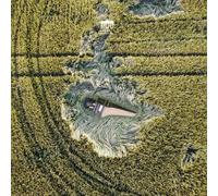 Bach : Partita & Concertos. Genewein, Il Gusto Barocco, Halubek.