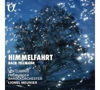 Lionel Meunier - Himmelfahrt