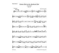 Johann Sebastian Bach: Cantata Gottes Zeit ist die allerbeste Zeit: Coro Mixto: