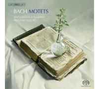 Johann Sebastian Bach Johann Sebastian Bach: Motets (CD) Hybrid
