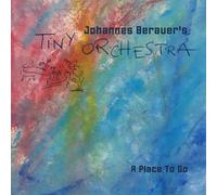 Johannes Berauer's Tiny Orchestra - A Place To Go