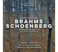 Sofya Melikyan, David Haroutunian, Mikayel Hakhnaz - Brahms: Piano Trio No. 1 - Schoenberg: Verklärte N