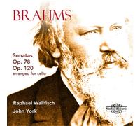 Johannes Brahms Brahms: Sonatas, Op. 78 and Op. 120: Arra (CD) (Importación USA)