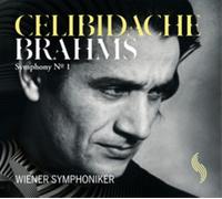 Brahms : Symphonie n°1. Celibidache.
