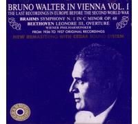 Johannes Brahms - Bruno Walter in Vienna Vol. 1 (UK Import)