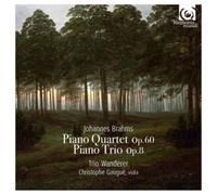 Johannes Brahms Johannes Brahms: Piano Quartet, Op. 60/Pi (CD) (Importación USA)