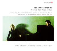 Johannes Brahms Johannes Brahms: Works for Piano Duo (CD) (Importación USA)