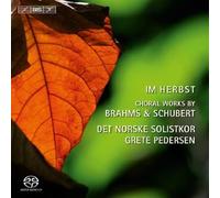 Johannes Brahms - Nine Songs From Zigeunerlieder