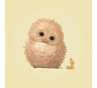 John Butler búho Lienzo Prints, poliéster, 40 x 40 cm, Multicolor