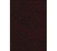 John C. Maxwell NIV, Maxwell Leadership Bible, (de piel falsa) (Importación USA)