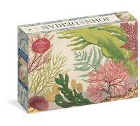John Derian Paper Goods Rompecabezas Sea Life 1000 piezas