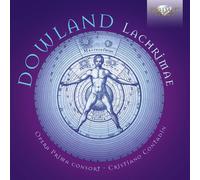 John Dowland Dowland: Lachrimae (CD) Album (Jewel Case) (Importación USA)