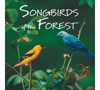 John Grout - Songbirds of the Forest