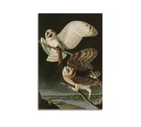 John James Audubon - Póster artístico de John James Audubon, lienzo para pared, decoración moderna para el hogar, 20 x 30 cm