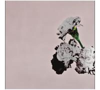 JOHN LEGEND - LOVE IN THE FUTURE FUTURE (SPECIAL EDITION)