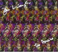 John McLaughlin The Promise (CD) (Importación USA)