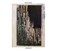 John Moreland - Birds In The Ceiling [Vinilo]