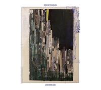 John Moreland Birds in the Ceiling (Vinyl) 12" Album (Importación USA)