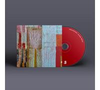 John Patitucci - Live in Italy