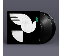 John Patitucci – Spirit Fall – Vinilo – Importación USA