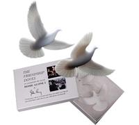 John Perry Christmas Turtle Doves The Official Turtle Doves - Juego de 2 piezas del artista oficial de la película Kevin Alone In NY