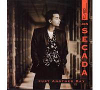 JOHN SECADA Just Another Day 12"