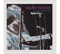 John Sullivan - Many Voices