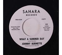 JOHNNY BURNETTE - what a summer day 45 rpm single